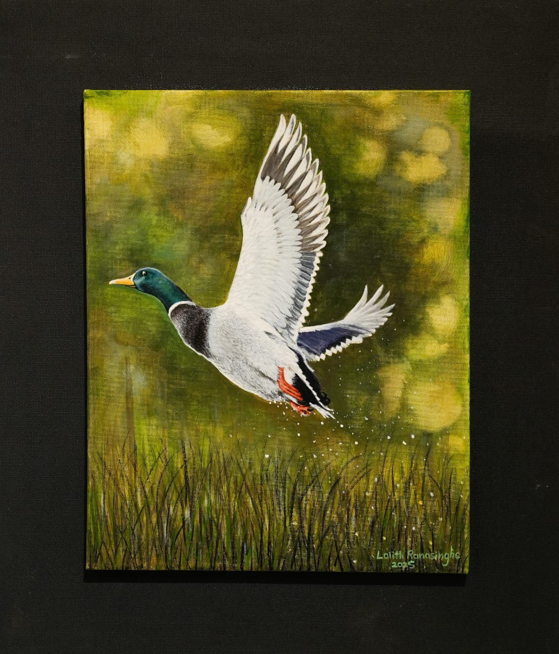 Take Flight — Acrylic on canvas by Lalith Ranasinghe