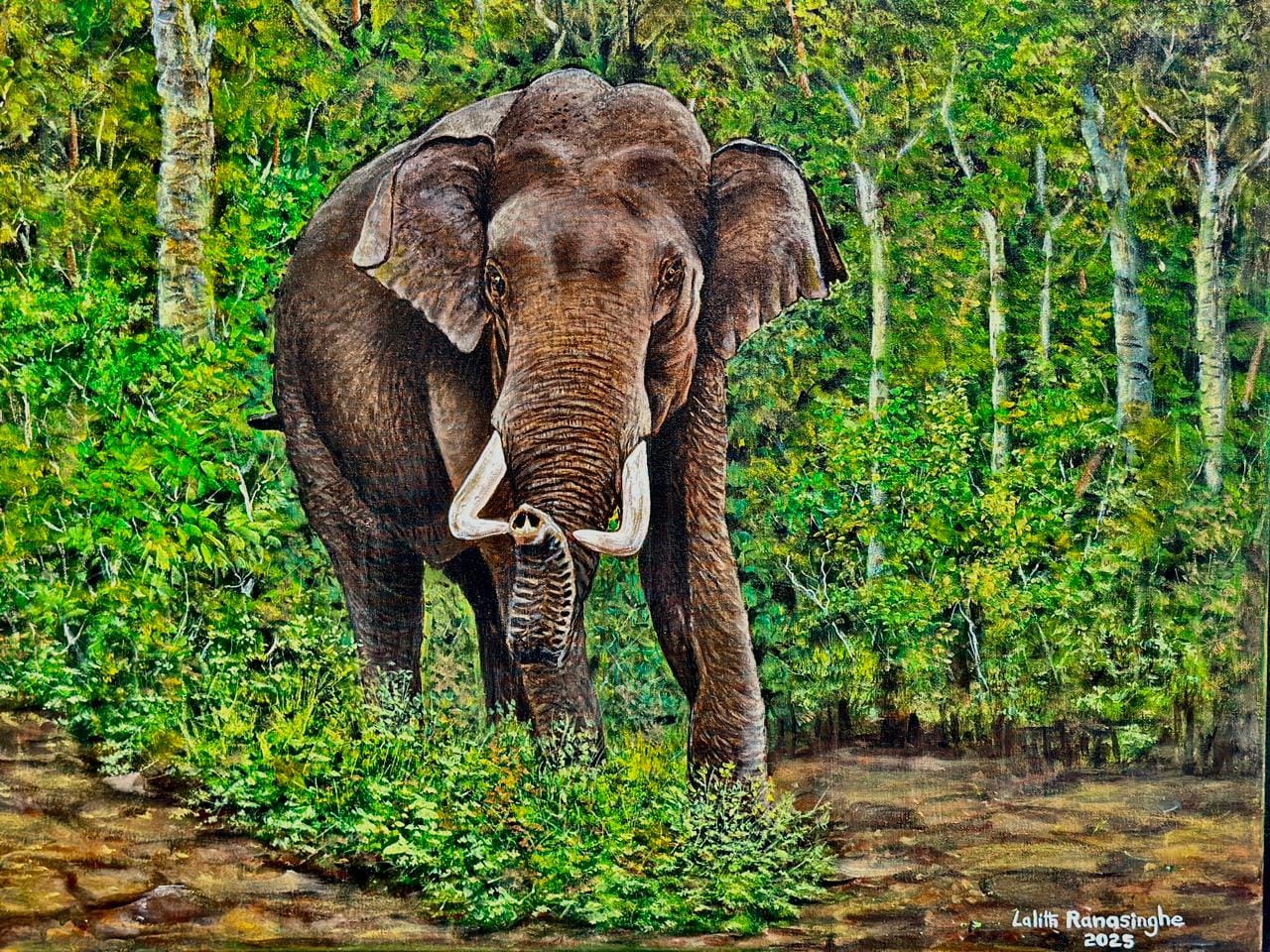 The Old Tusker — Acrylic on canvas by Lalith Ranasinghe